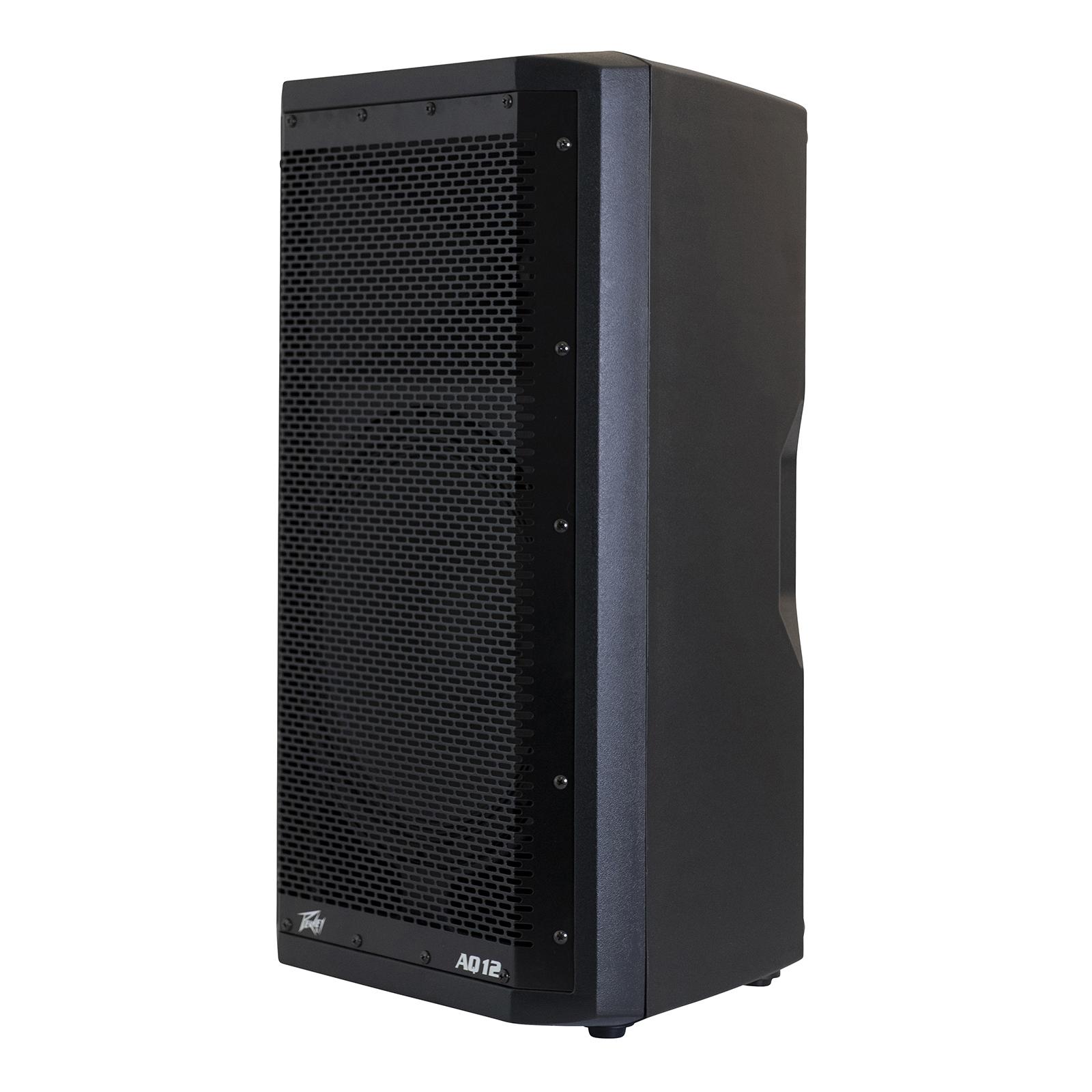 Peavey AQ12 1,000W 12
